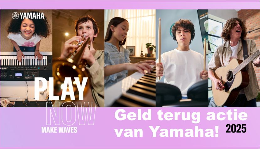 Mollema Music World is Yamaha dealer.